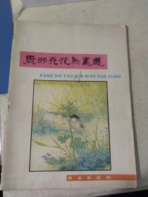 康师尧花鸟画选