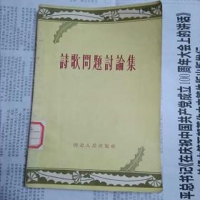 诗歌问题讨论集