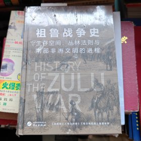 华文全球史062·祖鲁战争史：生存空间、丛林法则与南部非洲文明的进程