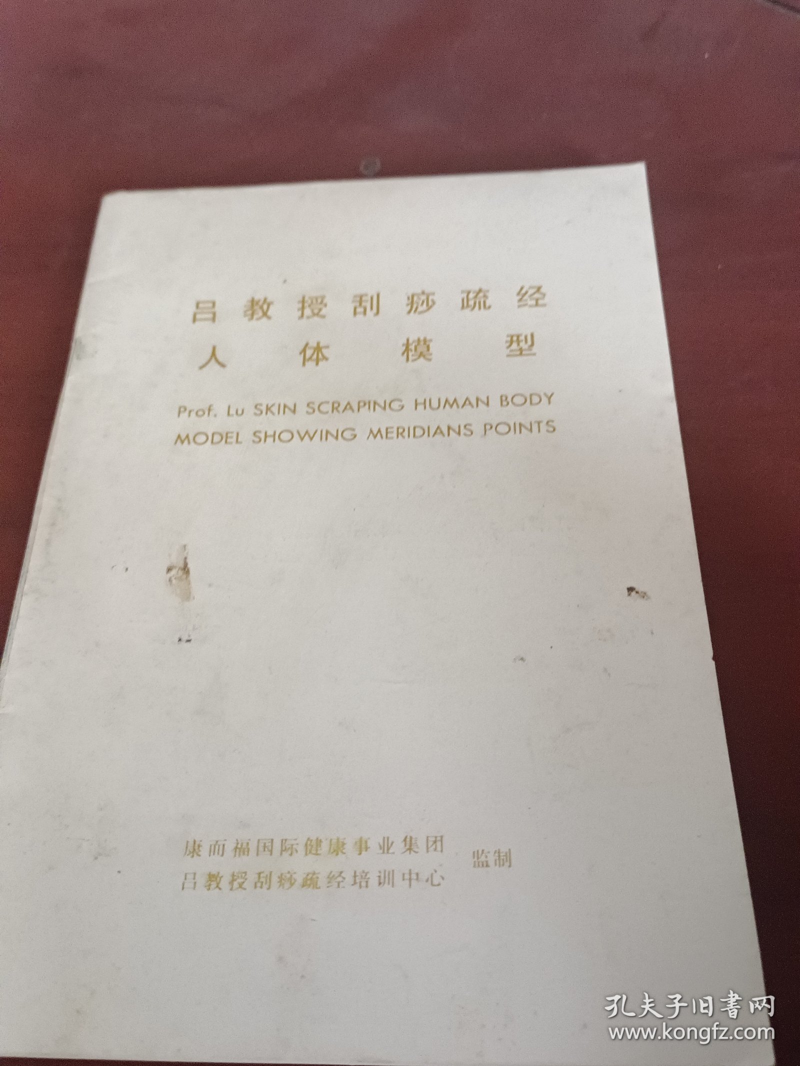 吕教授刮痧疏经人体模型。