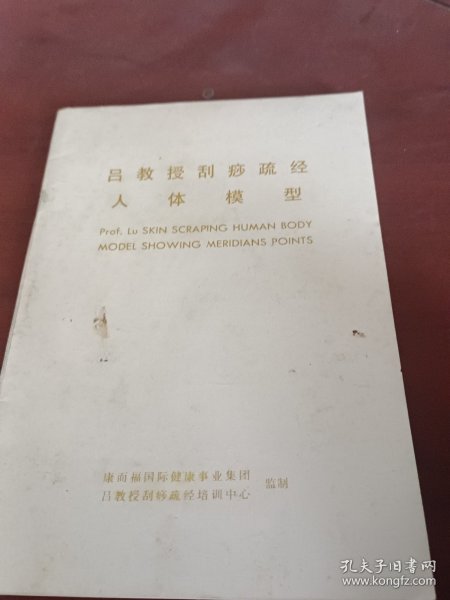 吕教授刮痧疏经人体模型。