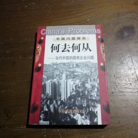 何去何从：当代中国的国有企业问题