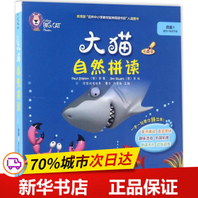 大猫自然拼读四级1 Big Cat Phonics(适合小学四年级 读物5册+阅读指导1册+拼读卡片1套+MP3光盘1张 点读版)