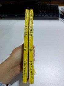 独剑残情