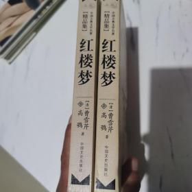 中国古典文学名著精品集（红楼梦 上下册)