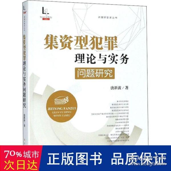 集资型犯罪理论与实务问题研究/律媒桥智库丛书