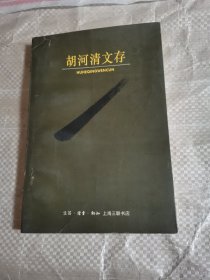 胡河清文存