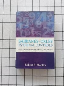 Sarbanes-Oxley Internal Controls  Effective Auditing with AS5, CobiT, and ITIL