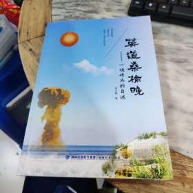莫道桑榆晚 一块砖头的自述