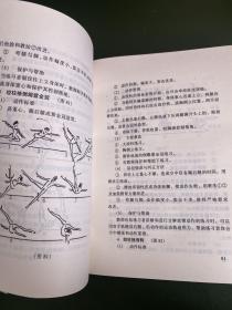 中国舞蹈武功教学