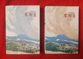 《春潮急》(上下全)