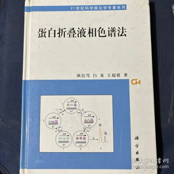 蛋白折叠液相色谱法——21世纪科学版化学专著系列