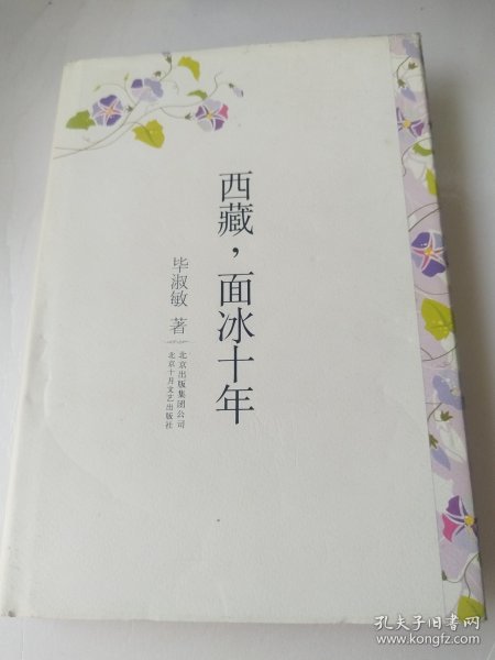 西藏，面冰十年
