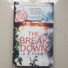 英文原版 the break down