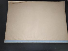 宁夏日报  1966年7月