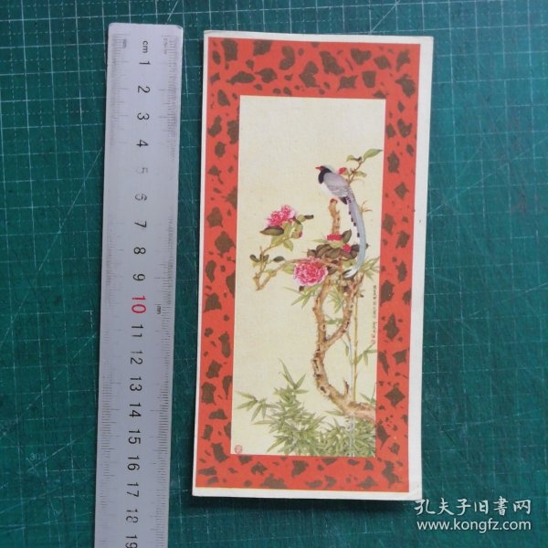 茶花山鹧 老贺卡
