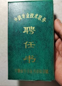 中级专业技术职务聘任书