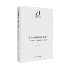 助力应对城市化挑战：转型社区老年文化服务行动研究