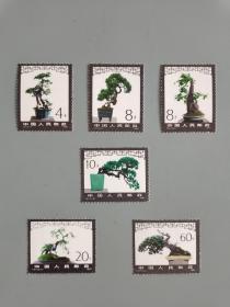 T61盆景邮票