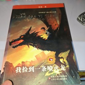 我捡到一条喷火龙：彭懿精灵飞舞幻想小说集