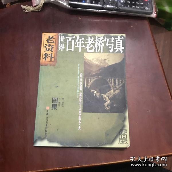 老资料丛书:世界百年老桥写真