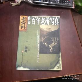 老资料丛书:世界百年老桥写真