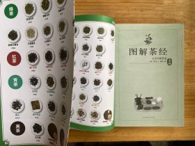 图解茶经：认识中国茶道