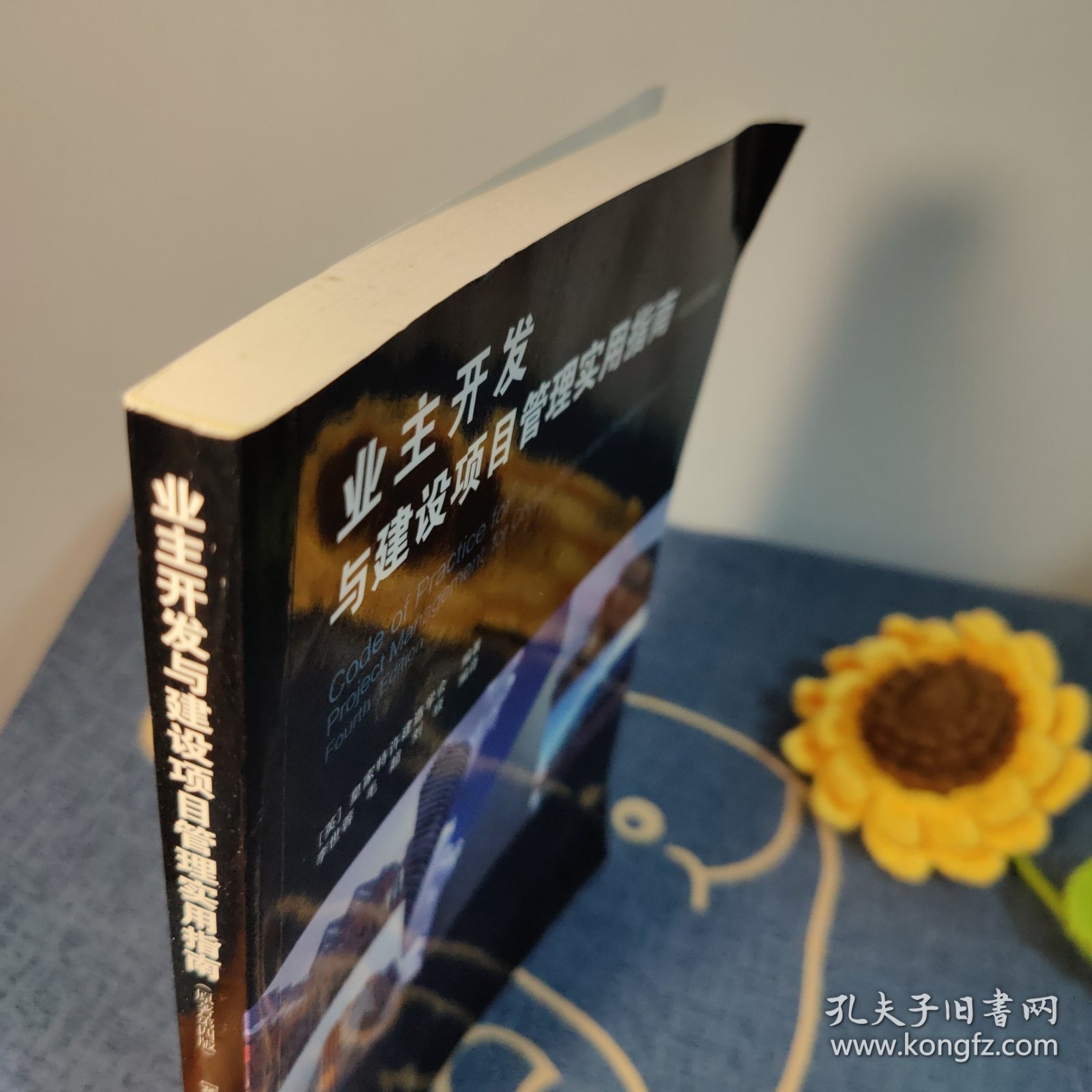 业主开发与建设项目管理实用指南（原著第四版）