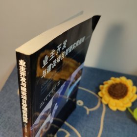 业主开发与建设项目管理实用指南（原著第四版）