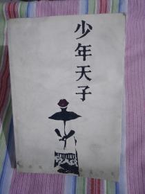 少年天子
