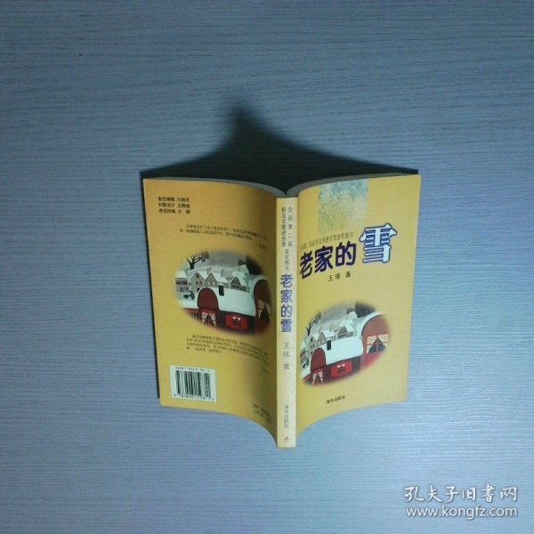 老家的雪