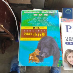 中国野生动物传奇-奇遇通灵小石貂
