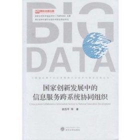 国家创新发展中的信息服务跨系统协同组织