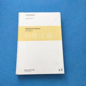 初级汉语 chinesisch intensiv Grundkurs