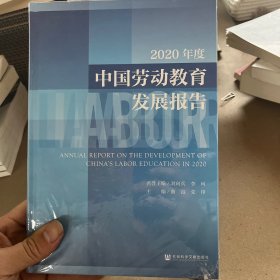 2020年度中国劳动教育发展报告(精)