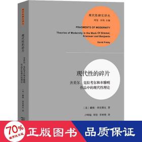 现代性的碎片：齐美尔、克拉考尔和本雅明作品中的现代性理论