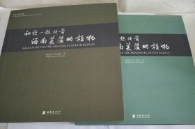 和你一起欣赏 海南美丽的植物 1+2