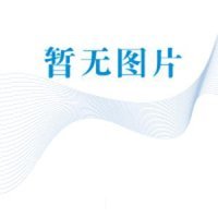 2012中国造纸年鉴