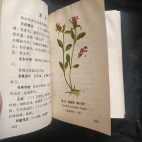 《北方常用中草药手册》60开 软皮精装 原色图谱 北京部队后勤部卫生部 1971年1版1印 馆藏书品如图.