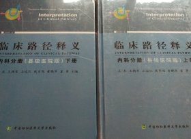 临床路径释义～内科分册（县级医院版）上下册 2020年版 精装