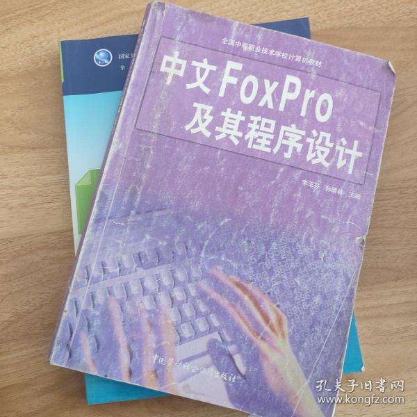 中文FoxPro及其程序设计