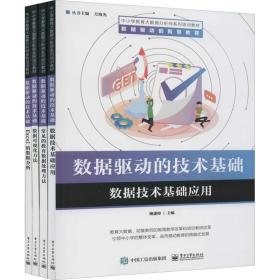 数据驱动的技术基础(全4册) 教学方法及理论 作者