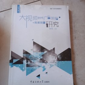 广告·观丛书：大视频时代广告策略与效果测量研究