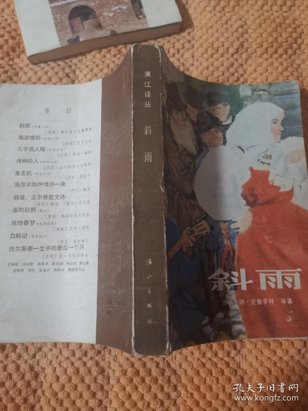 漓江译丛：斜雨