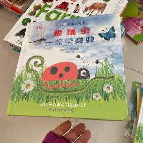 DK幼儿绘本玩具书跟瓢虫一起学数数 精装塑封见图