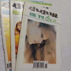 小小说选刊1998年第1.13.17.18期，小小说选刊2004年第22期，小小说选刊2008年第20期，可选择购买