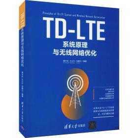 TD-LTE系统原理与无线网络优化 