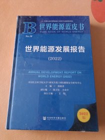 世界能源蓝皮书：世界能源发展报告（2022）