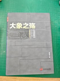 大象之殇：从印度低烈度内战看新兴市场发展道路之争