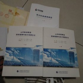 山东能源集团财务管理与会计核算办法(上下)
